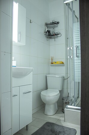 Hair dryer, towels, soap, toilet paper
