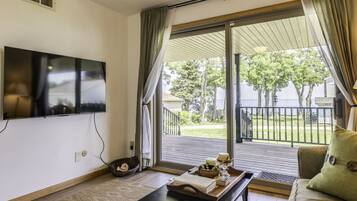 Televisión, chimenea y libros