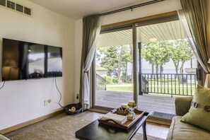 TV, fireplace, books