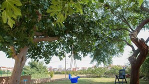 A grassy outdoor area with a swing set, a picnic table, and a tree.