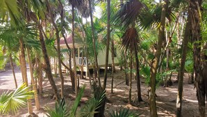 A rustic building surrounded by dense tropical vegetation. - Sol y Arena Xcalak (Xcalak)