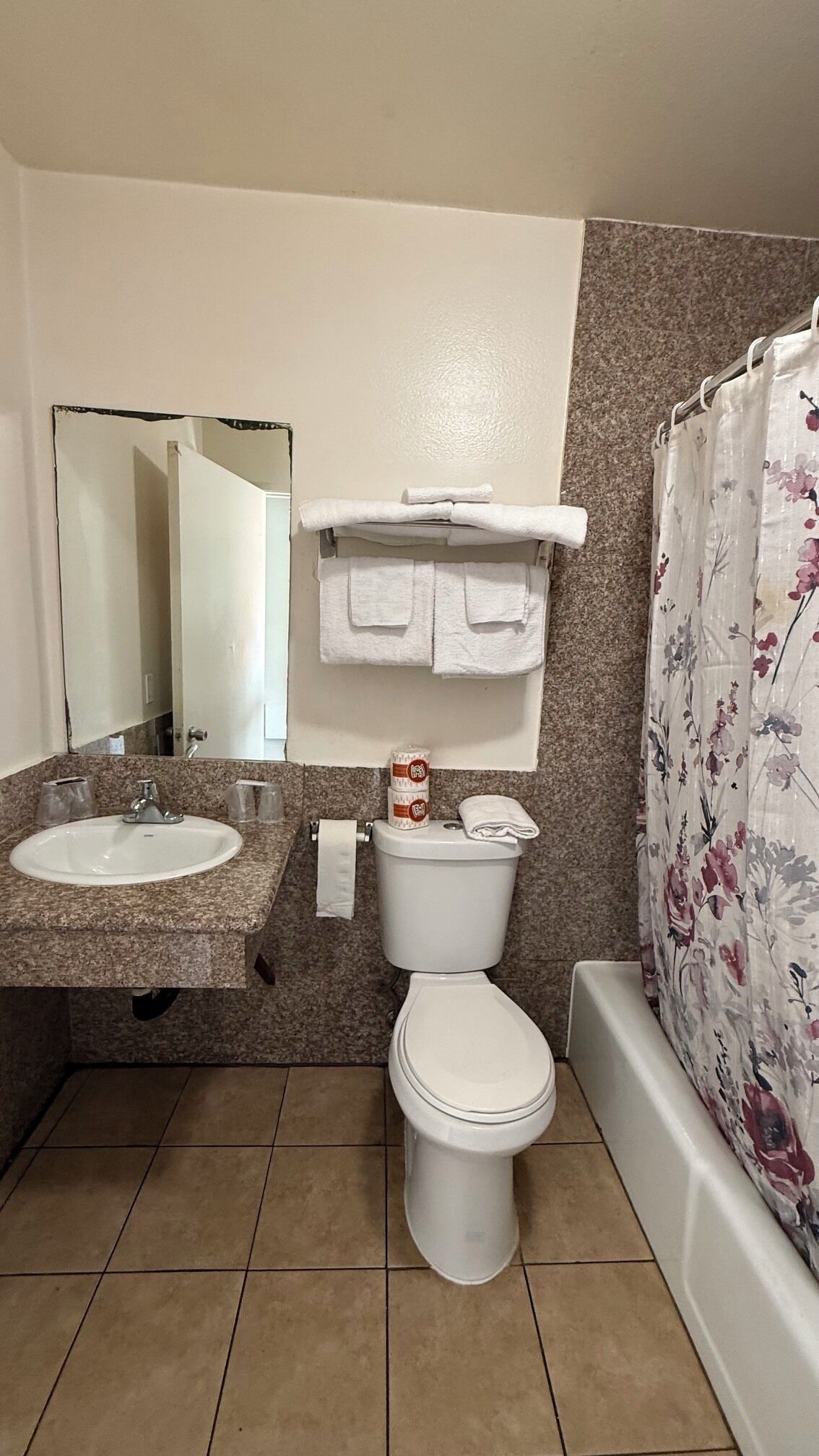 A bathroom with a sink, toilet, and shower curtain.