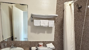 Une salle de bain avec un lavabo, des toilettes et une douche.