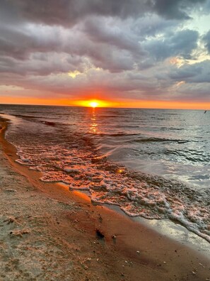 Playa en los alrededores 