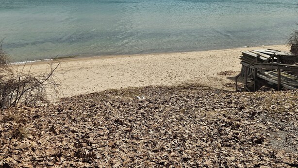 A beach with clear water, a wooden pier, and a distant island. - Rustic-Chic 2 bdr Pet Friendly Log Cabin, Steps to Lake Huron (Au Gres)