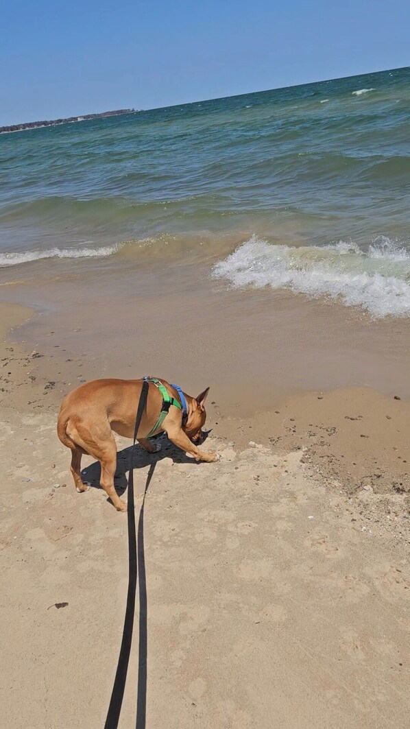 Beach nearby