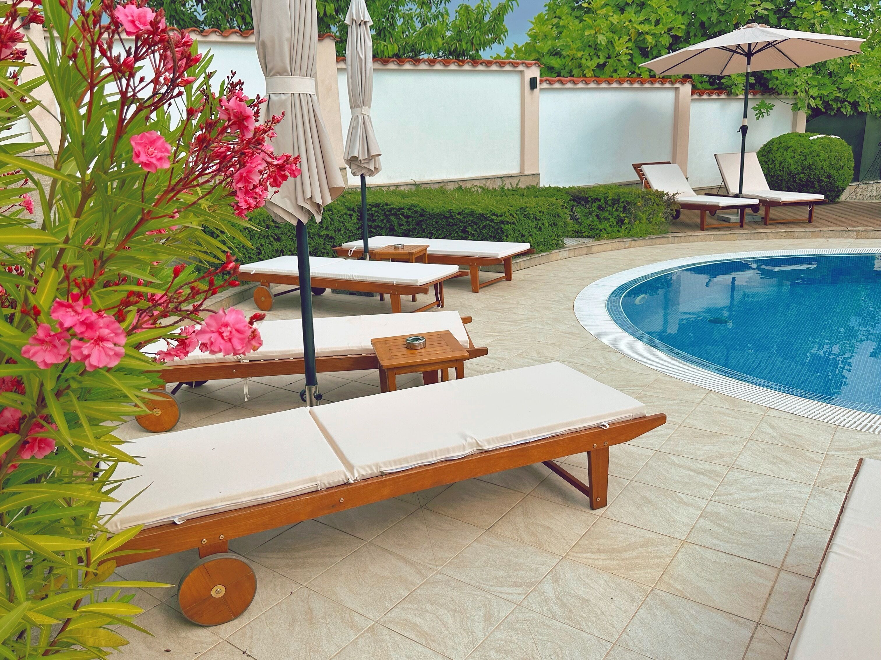 A poolside area with sun loungers, a pool, and a garden with pink flowers.