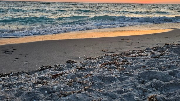 A beach with waves, a sunset, and seaweed on the sand.