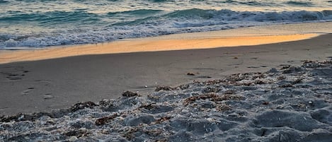 Plage à proximité, serviettes de plage