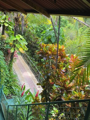 A lush garden with a variety of plants and a paved pathway.
