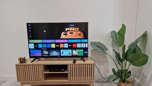 En platt-TV placerad på ett TV-bord i trä, med en växt bredvid.