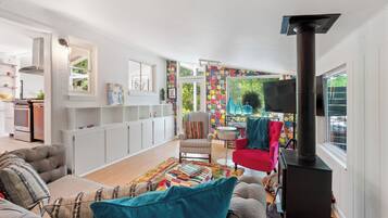 Smart TV, fireplace, books