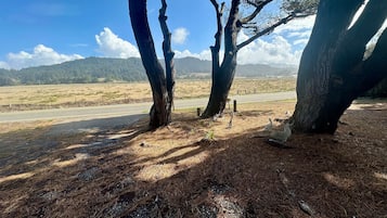 المنطقة المحيطة بالمنشأة