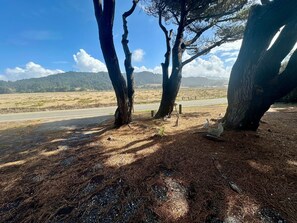 Property grounds - Navigator House - Gold Beach, Oregon (Gold Beach)