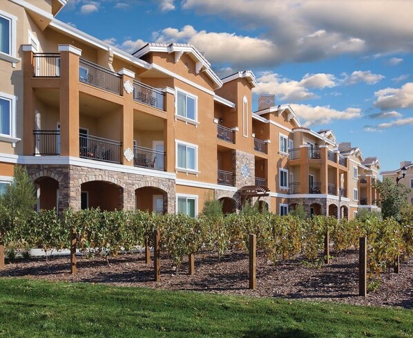 A multi-story hotel with balconies, a vineyard in the foreground, and a clear blue sky.