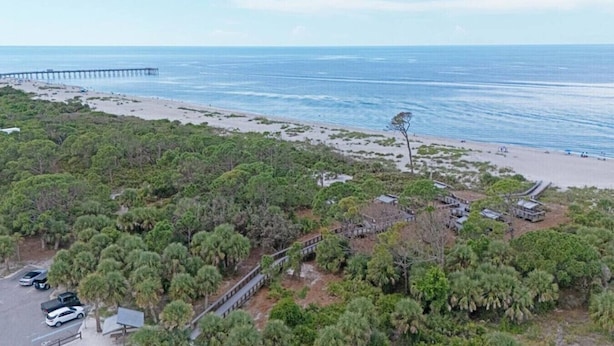 An aerial view of a coastal area with a beach, a pier, and dense greenery. - SHELL-HAUS | Venice Beach House | 5-min to Gulf (Venice)