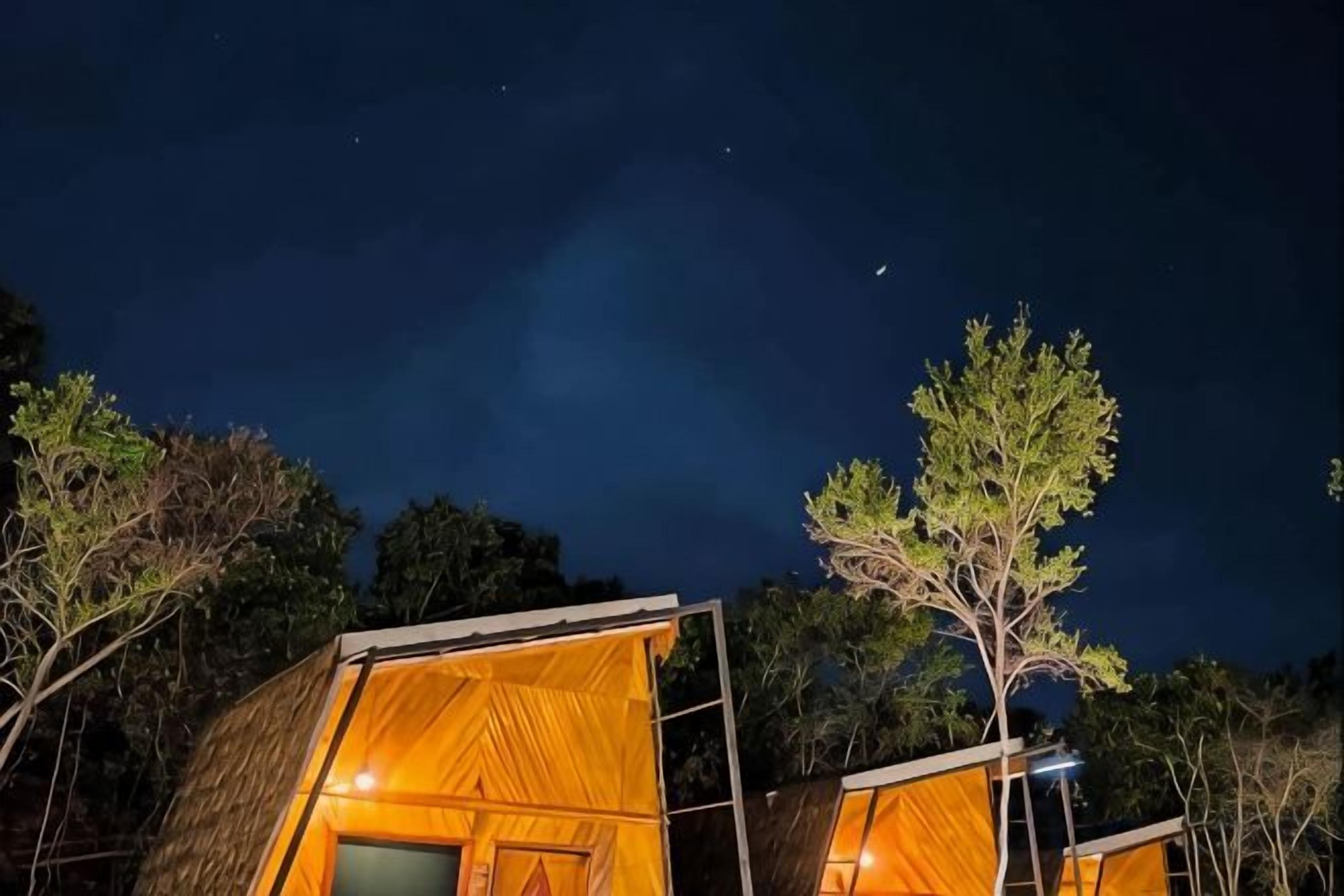 Two wooden cabins with open sides, surrounded by trees, under a night sky.
