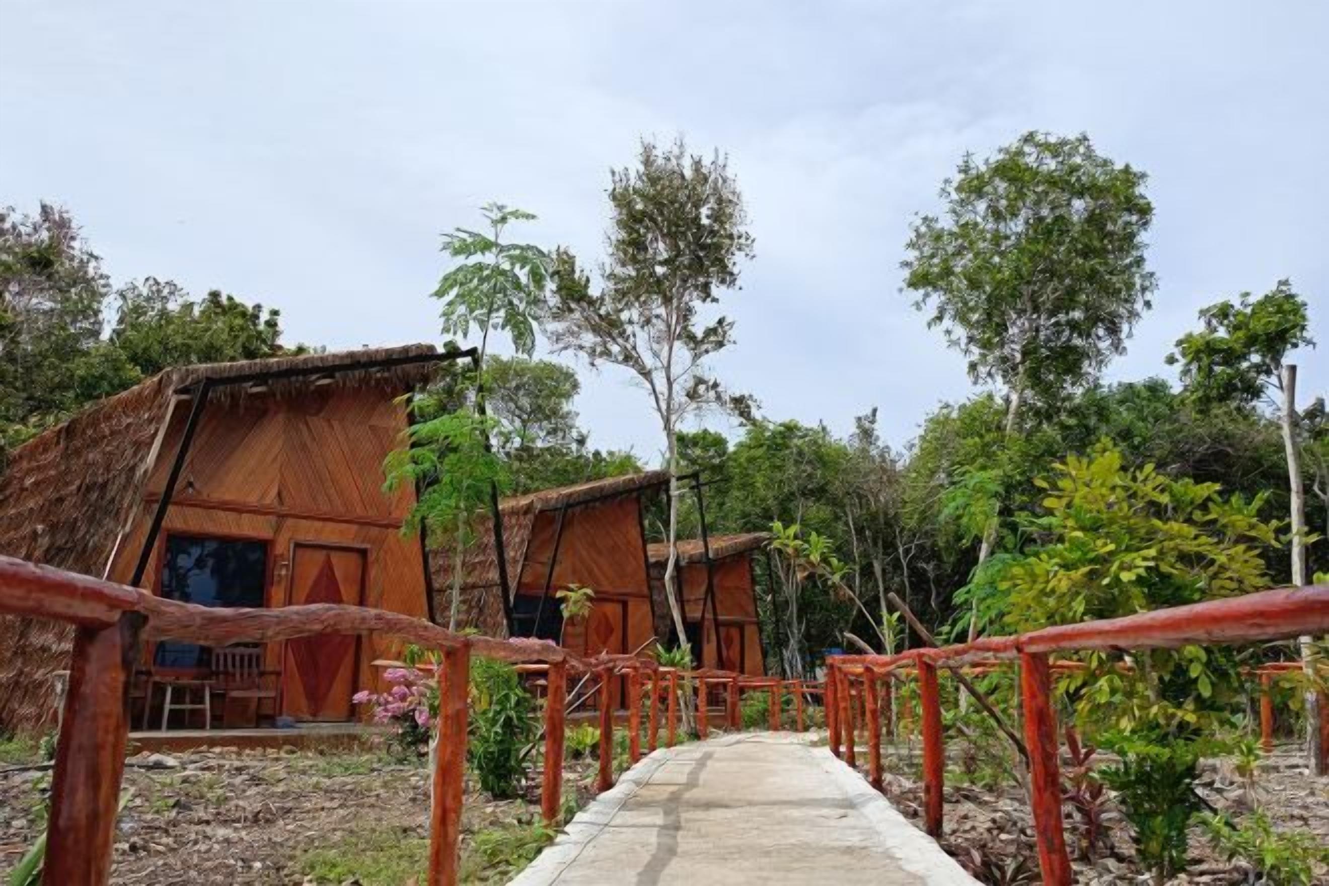 A pathway leading to a rustic wooden building with a thatched roof, surrounded by greenery.