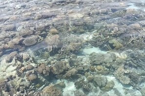 星評価なしの画像、3 / 28、ボタン