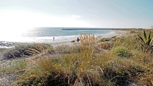 Ein Strand mit blauem Himmel, sandigem Ufer und etwas Vegetation im Vordergrund.