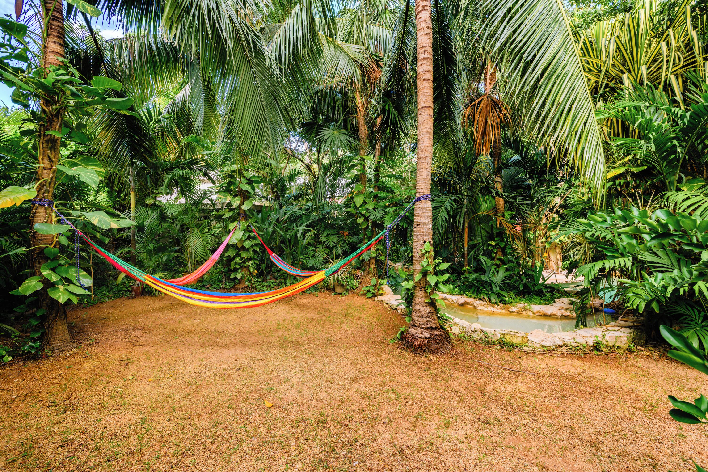A hammock in a lush garden with various tropical plants and a small pond.