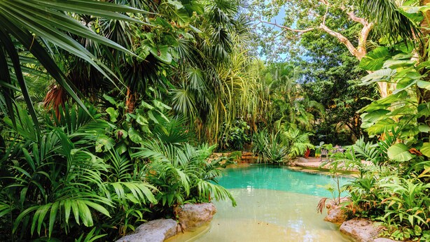 A lush garden with a clear pool surrounded by dense tropical foliage and large rocks. - La Hacienda Hotel, at Xcaret (Playa del Carmen)