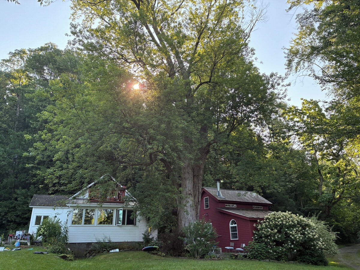 オーナーのプロフィール画像