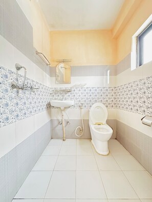 Hair dryer, towels, soap, toilet paper