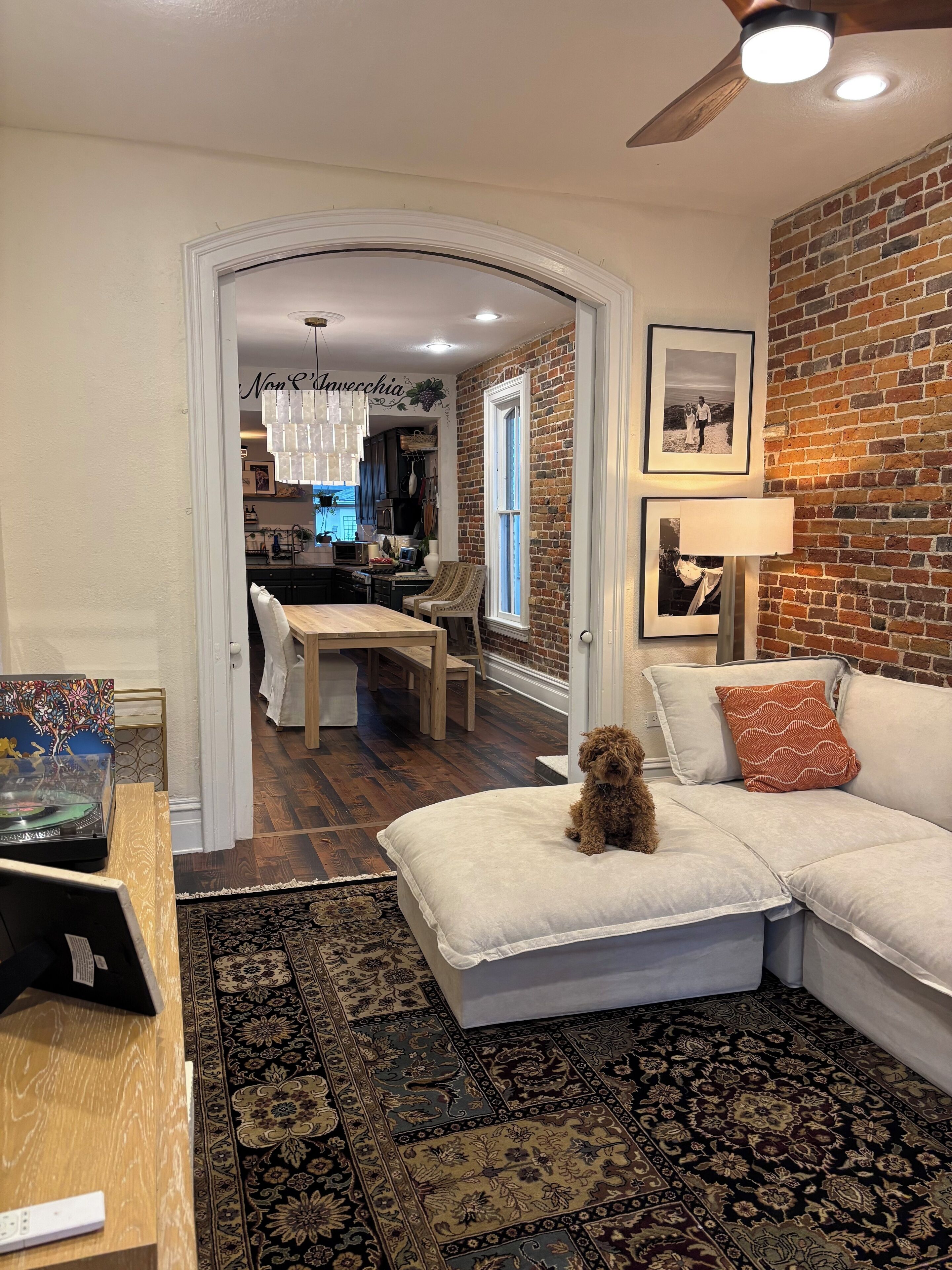 A cozy living room with a dog on a white sofa, a patterned rug, and a brick wall.