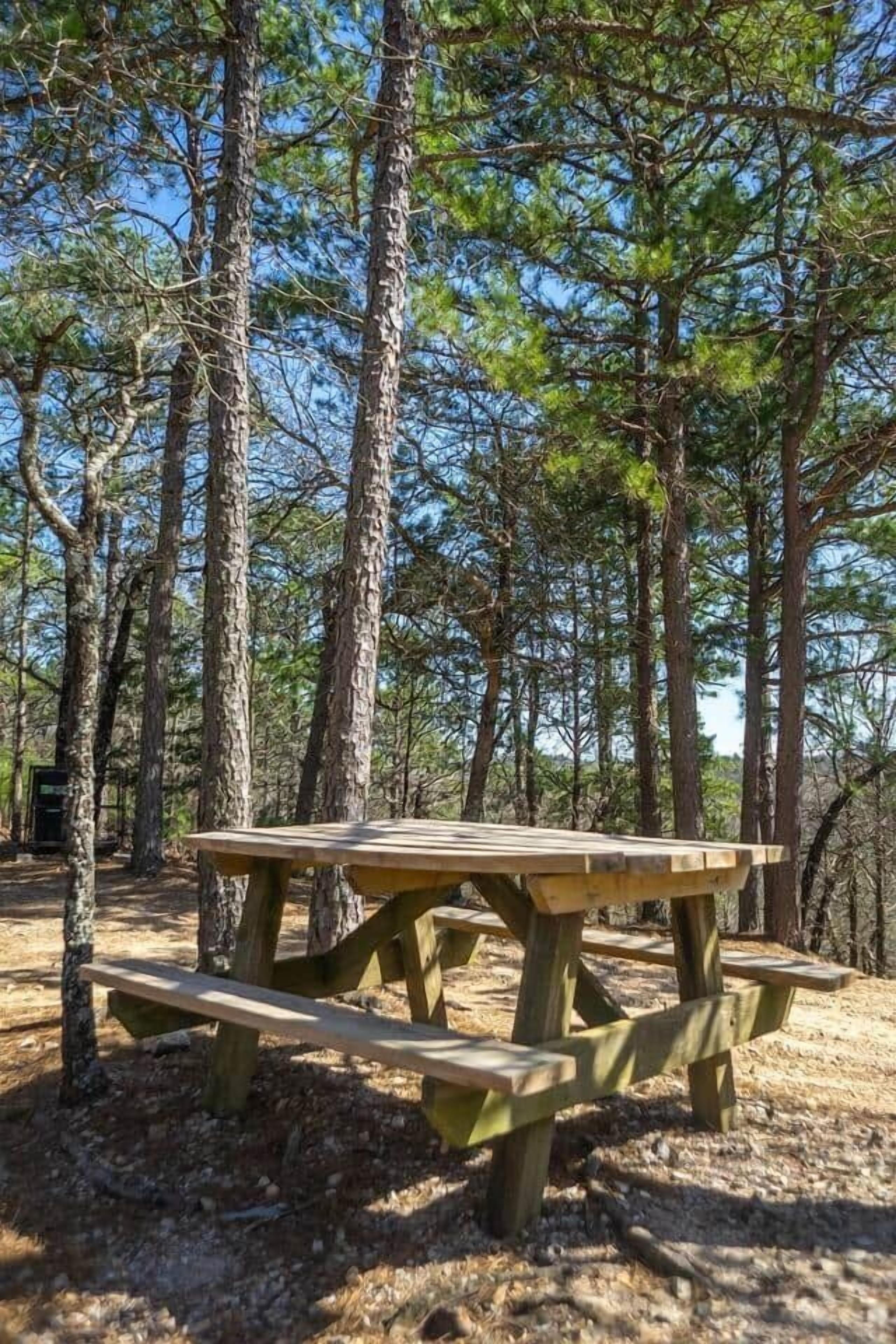 Ein Picknicktisch in einem bewaldeten Gebiet mit hoch aufragenden Bäumen.