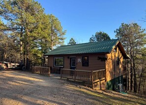 A rustic cabin with a green roof, surrounded by trees.