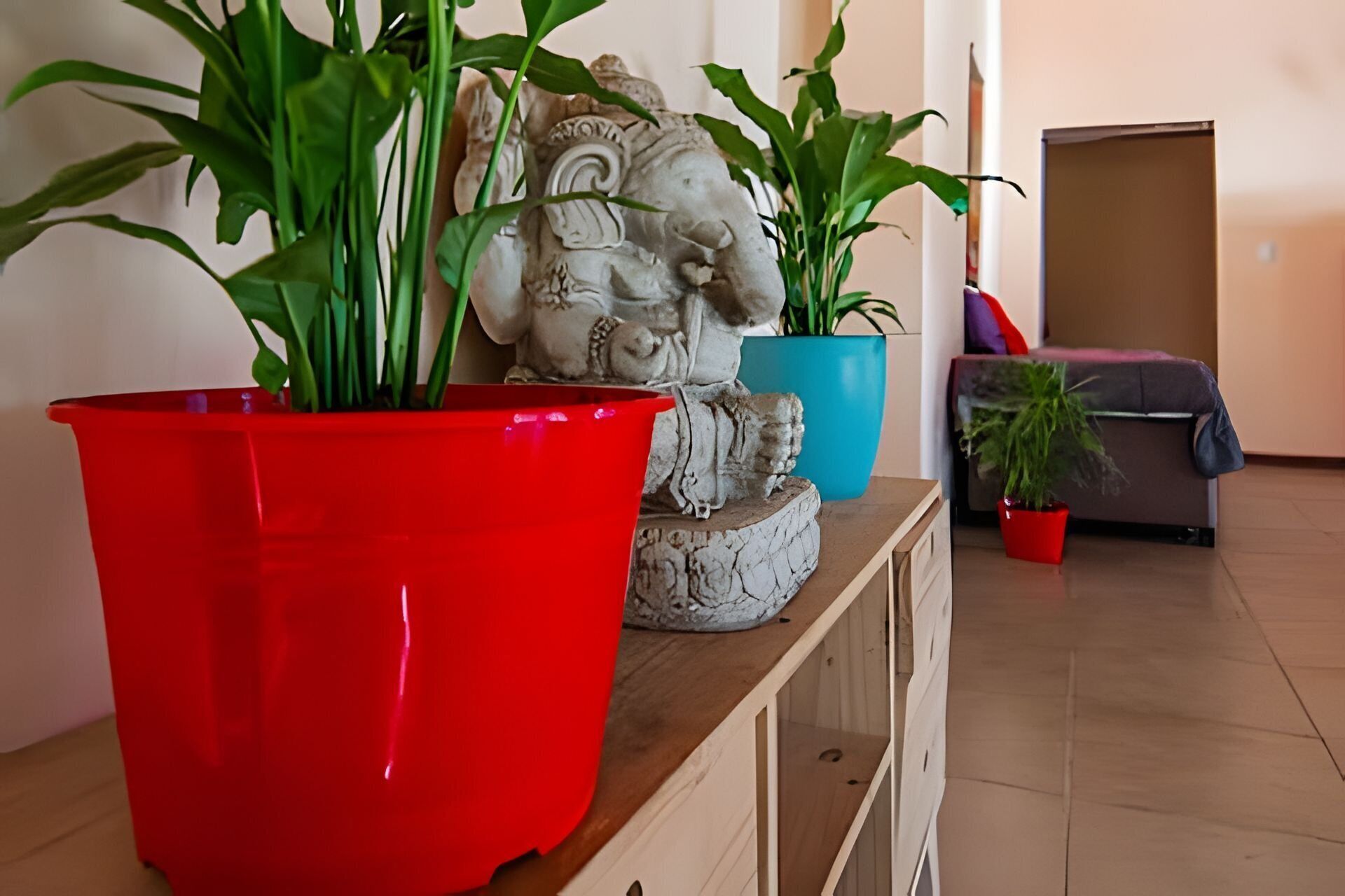 Una stanza con un armadio in legno, una pianta in vaso rossa e una pianta in vaso blu, oltre a una statua.