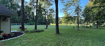 Cozy studio cabin in charming Fenton near Cider Mills and Trails!