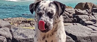 JANE | HOUSE BY THE SEA | Central and facing the sea