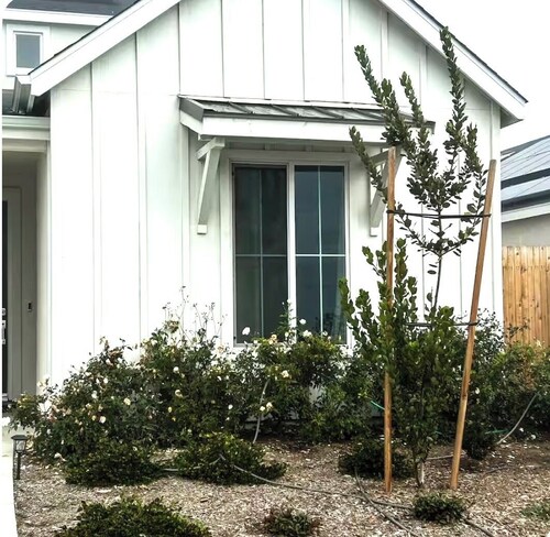 Exceptionally cozy guest house with AC in vibrant Bakersfield