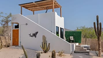 Un edificio moderno con fachada blanca, puerta de madera, escalera y jardín de cactus.