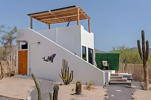 Ein modernes Gebäude mit weißer Fassade, einer Holztür, einer Treppe und einem Kakteengarten.