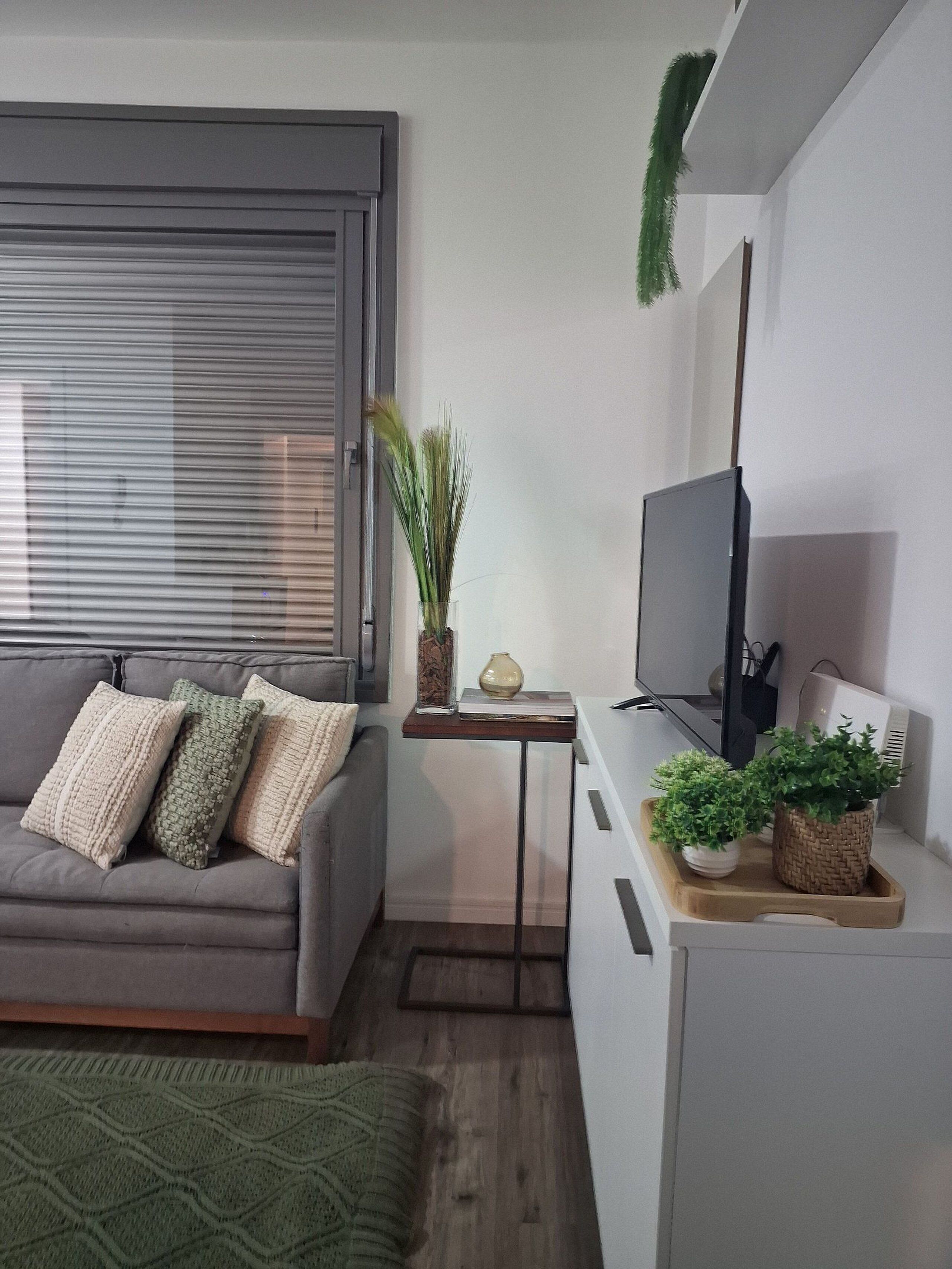 Apartamento básico | Zona de estar