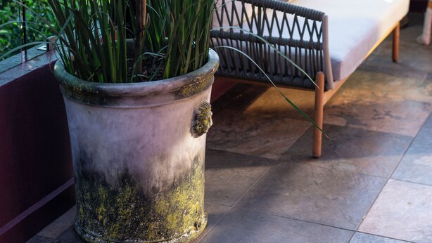 A balcony with a cushioned seating area, potted plants, and a view of greenery. - Hotel Boutique Casa Flor de Café (Mexico City)