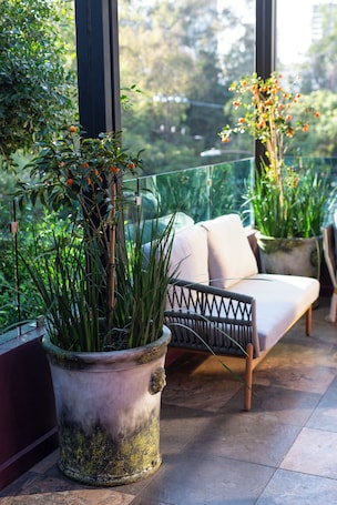 Superior Double Room, City View. Hotel Boutique Casa Flor de Café