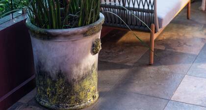 Hotel Boutique Casa Flor de Café