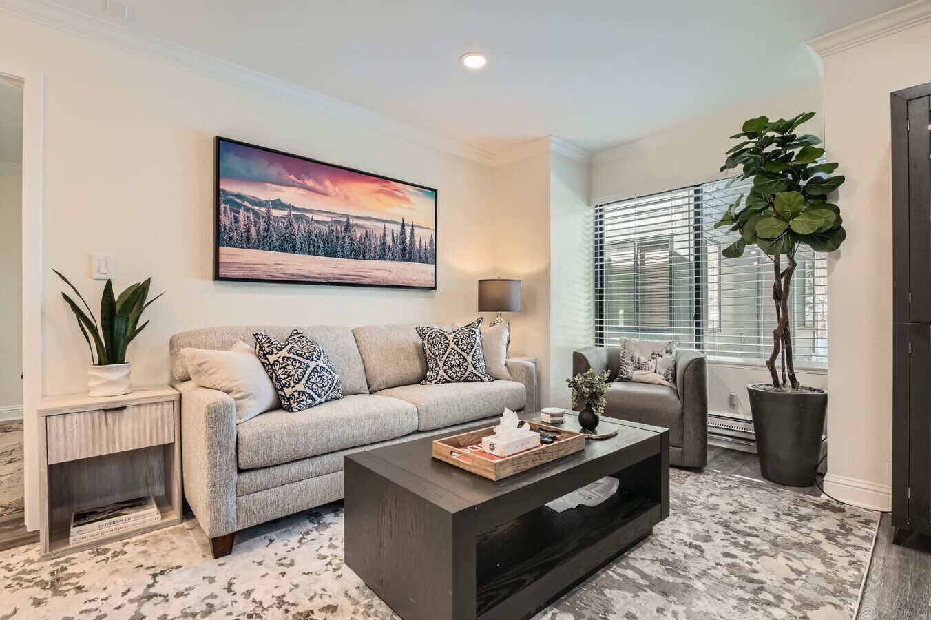 Télévision, cheminée