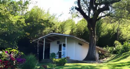 Cabin with spectacular mountain views of Boquete