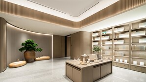 A modern interior with a central island, bookshelves, and a large potted plant.