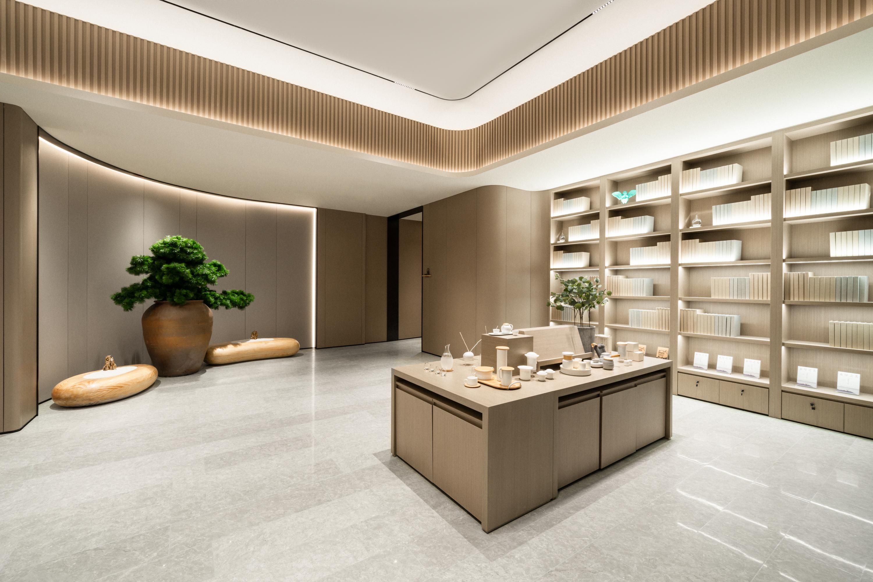 A modern interior with a central island, bookshelves, and a large potted plant.