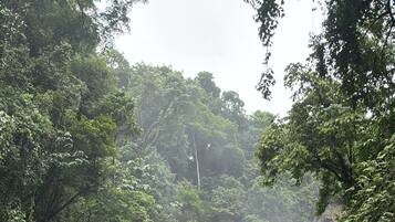 Ein Wasserfall in bewaldeter Landschaft mit Felsen und einer Person in der Nähe des Wassers.