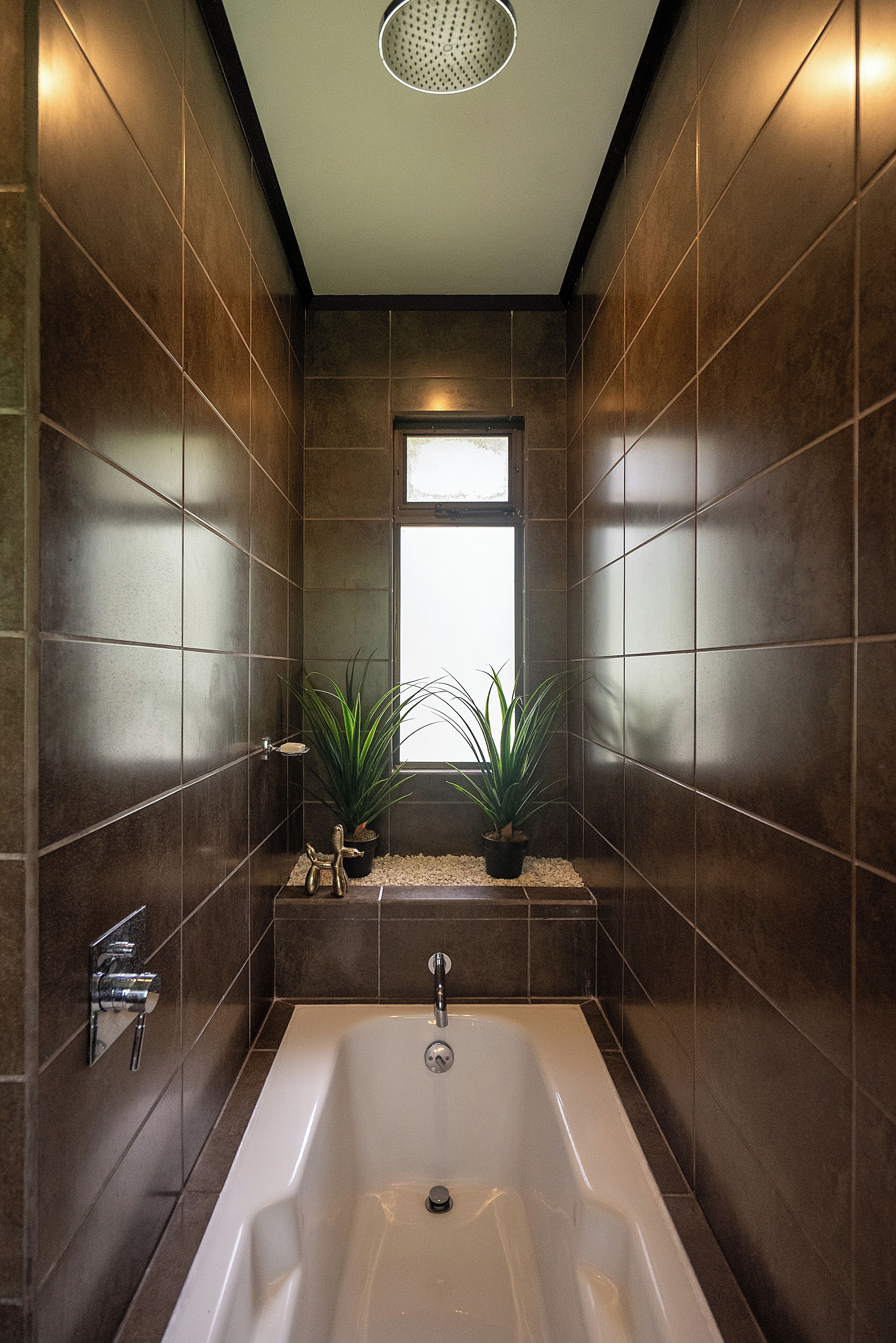 A modern bathroom with a bathtub, two potted plants, and a window.