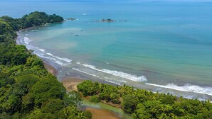 Une plage tropicale bordée d’une végétation luxuriante et baignée d’eaux d’un bleu cristallin.