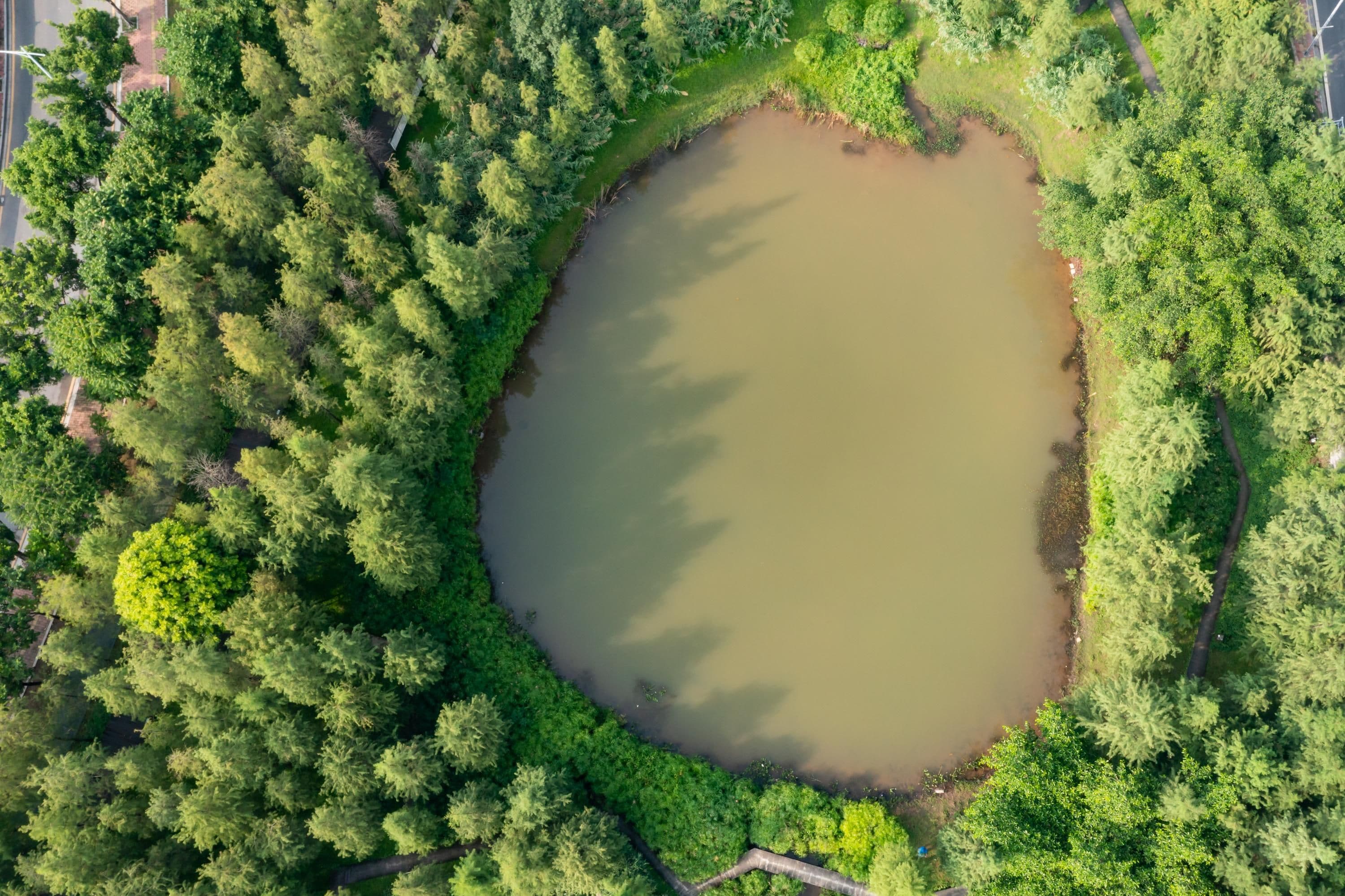 Eine Vogelperspektive auf einen kreisförmigen Teich, der von dichtem Grün der Bäume umgeben ist.