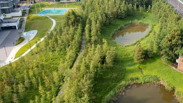 En vy över en park sedd från ovan, med en basketplan, gångvägar och en damm.